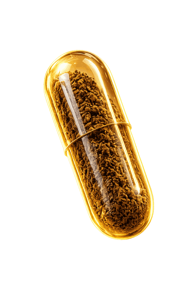Cápsula CordyGold con Cordyceps Sinensis